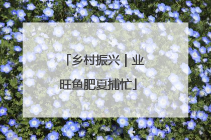 乡村振兴｜业旺鱼肥夏捕忙