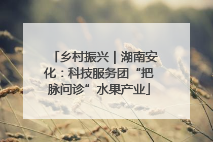 乡村振兴｜湖南安化：科技服务团“把脉问诊”水果产业
