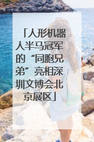 人形机器人半马冠军的“同胞兄弟”亮相深圳文博会北京展区