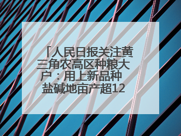 人民日报关注黄三角农高区种粮大户：用上新品种 盐碱地亩产超1200斤