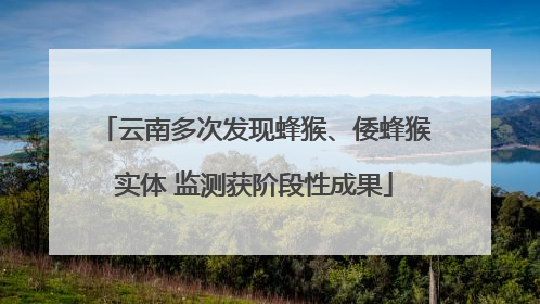 云南多次发现蜂猴、倭蜂猴实体 监测获阶段性成果