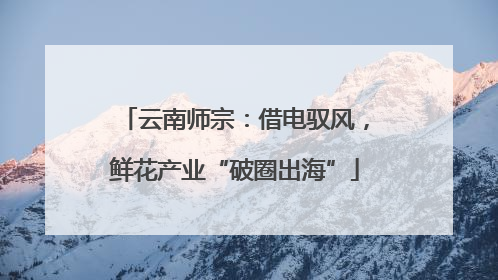 云南师宗：借电驭风，鲜花产业“破圈出海”