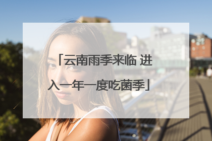 云南雨季来临 进入一年一度吃菌季
