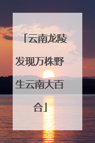 云南龙陵发现万株野生云南大百合