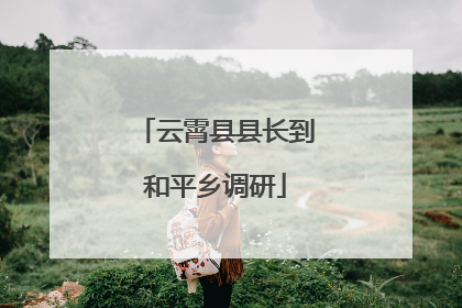 云霄县县长到和平乡调研