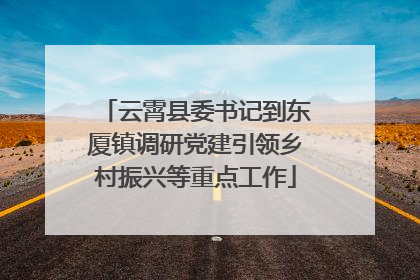 云霄县委书记到东厦镇调研党建引领乡村振兴等重点工作
