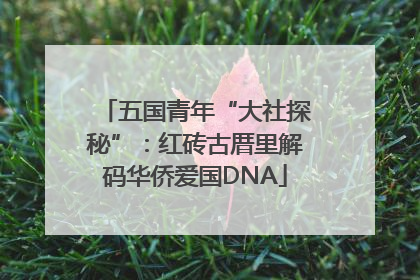 五国青年“大社探秘”：红砖古厝里解码华侨爱国DNA