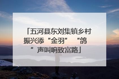 五河县东刘集镇乡村振兴添“金羽” “鸽”声叫响致富路