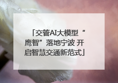 交管AI大模型“鹰智”落地宁波 开启智慧交通新范式