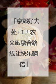 京郊好去处+1！农文旅融合路线让快乐翻倍