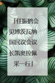 任振鹤会见博茨瓦纳国民议会议长凯奥拉佩采一行