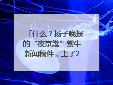 什么？扬子晚报的“夜京畿”紫牛新闻稿件，上了2025年镇江中考模拟卷！