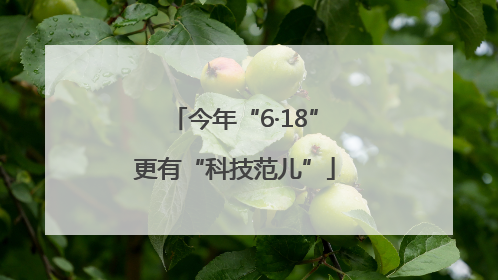 今年“6·18”更有“科技范儿”
