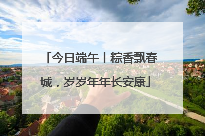 今日端午丨粽香飘春城，岁岁年年长安康