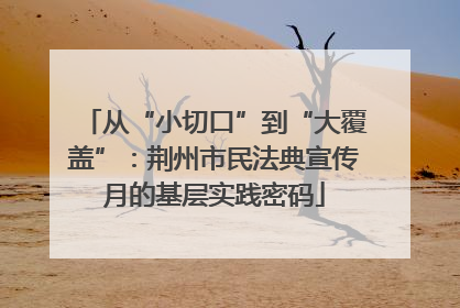 从“小切口”到“大覆盖”：荆州市民法典宣传月的基层实践密码