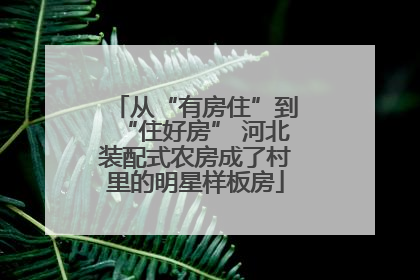 从“有房住”到“住好房” 河北装配式农房成了村里的明星样板房