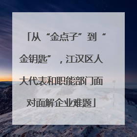 从“金点子”到“金钥匙”，江汉区人大代表和职能部门面对面解企业难题