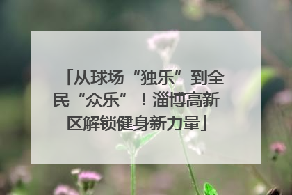从球场“独乐”到全民“众乐”！淄博高新区解锁健身新力量