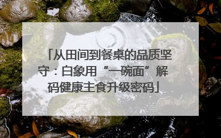 从田间到餐桌的品质坚守：白象用“一碗面”解码健康主食升级密码