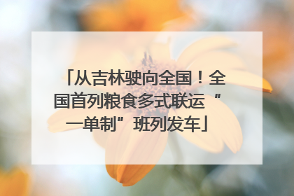 从吉林驶向全国！全国首列粮食多式联运“一单制”班列发车