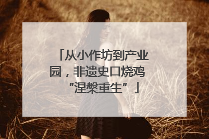 从小作坊到产业园，非遗史口烧鸡“涅槃重生”