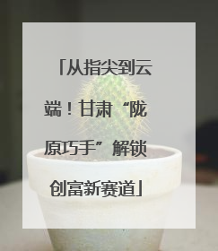 从指尖到云端！甘肃“陇原巧手”解锁创富新赛道