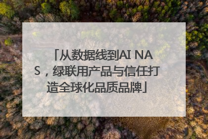 从数据线到AI NAS，绿联用产品与信任打造全球化品质品牌