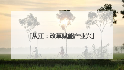 从江：改革赋能产业兴
