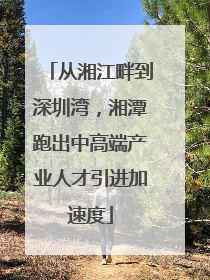 从湘江畔到深圳湾，湘潭跑出中高端产业人才引进加速度