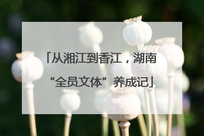 从湘江到香江，湖南“全员文体”养成记