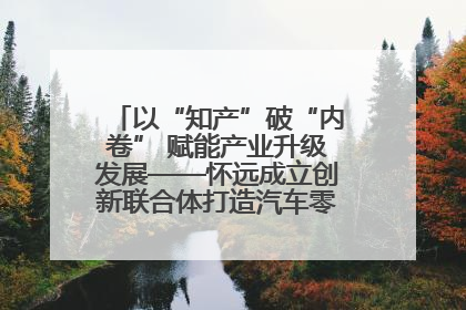 以“知产”破“内卷” 赋能产业升级发展——怀远成立创新联合体打造汽车零部件产业新高地