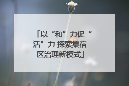 以“和”力促“活”力 探索集宿区治理新模式
