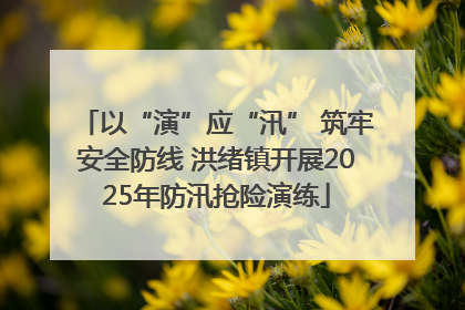 以“演”应“汛” 筑牢安全防线 洪绪镇开展2025年防汛抢险演练