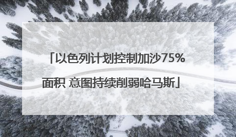 以色列计划控制加沙75%面积 意图持续削弱哈马斯