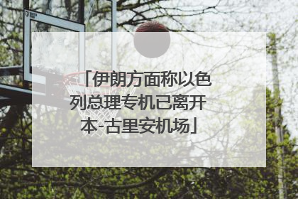 伊朗方面称以色列总理专机已离开本-古里安机场
