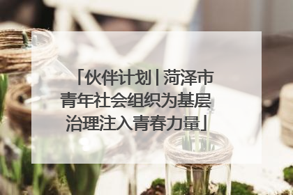 伙伴计划│菏泽市青年社会组织为基层治理注入青春力量