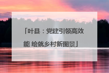 叶县：党建引领高效能 绘就乡村新图景