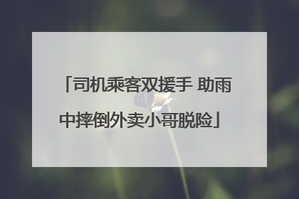司机乘客双援手 助雨中摔倒外卖小哥脱险
