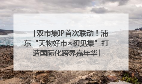 双市集IP首次联动！浦东“天物好市×初见集”打造国际化跨界嘉年华
