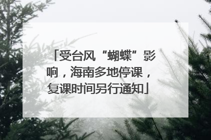 受台风“蝴蝶”影响，海南多地停课，复课时间另行通知