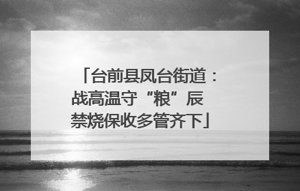 台前县凤台街道：战高温守“粮”辰 禁烧保收多管齐下