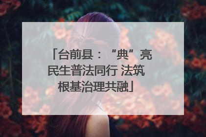 台前县：“典”亮民生普法同行 法筑根基治理共融