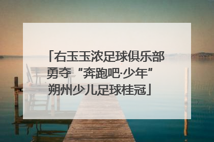 右玉玉浓足球俱乐部勇夺“奔跑吧·少年”朔州少儿足球桂冠