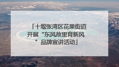 十堰张湾区花果街道开展“东风故里育新风”品牌宣讲活动