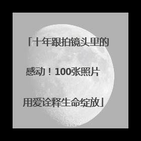 十年跟拍镜头里的感动！100张照片用爱诠释生命绽放