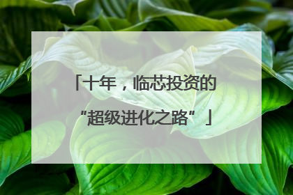 十年，临芯投资的“超级进化之路”