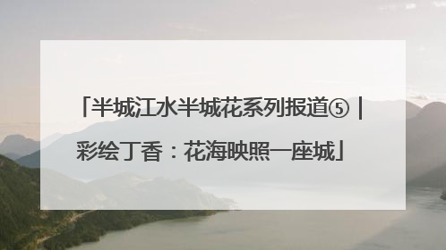 半城江水半城花系列报道⑤｜彩绘丁香：花海映照一座城