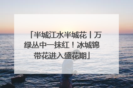 半城江水半城花丨万绿丛中一抹红！冰城锦带花进入盛花期