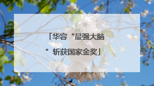 华容“最强大脑”斩获国家金奖