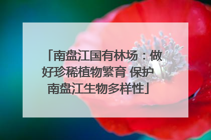 南盘江国有林场：做好珍稀植物繁育 保护南盘江生物多样性